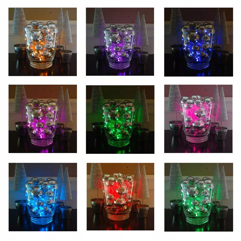 LUMABASE Multi-Color LED Battery Operated Mini String Fairy Lights with Remote Control (2-Pack, 50 Lights Each)