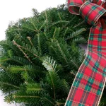 VAN ZYVERDEN 24 in. Live Fresh Cut Blue Ridge Mountain Fraser Fir Decorated Christmas Wreath with Bow thumbnail 3