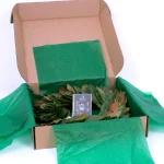 VAN ZYVERDEN 24 in. Fresh Magnolia Christmas Wreath - Natural Greenery thumbnail 2