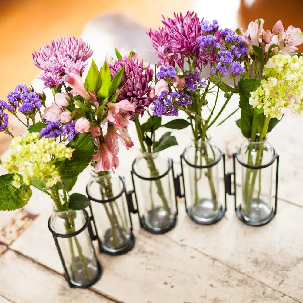 Danya B. 8 in. Hinged 5-Bottle Vase, Black Iron and Clear Glass