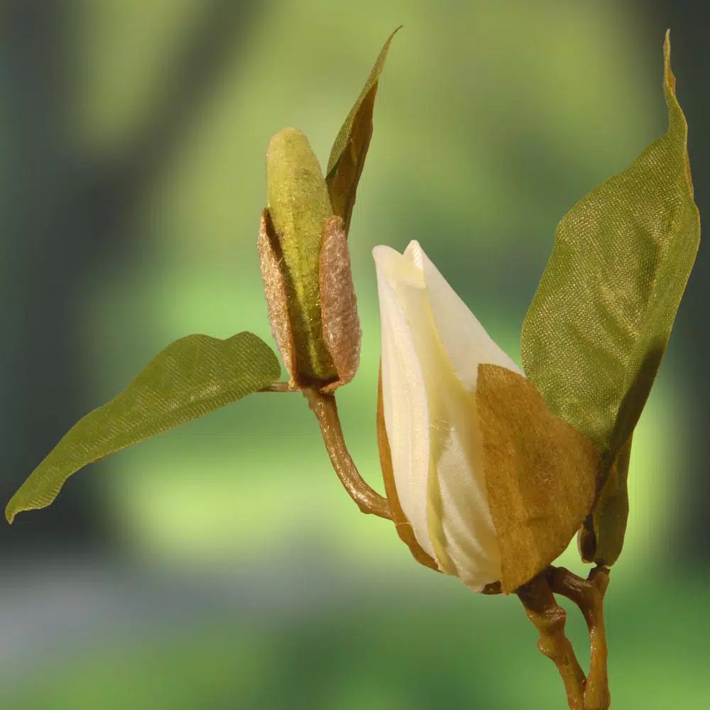 National Tree Company 48 in. Artificial White Magnolia Flower Tree in Matte Black Pot