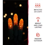 Haunted Hill Farm Mini Pumpkin LED Halloween Light Set, Indoor/Outdoor (Set of 3) thumbnail 6