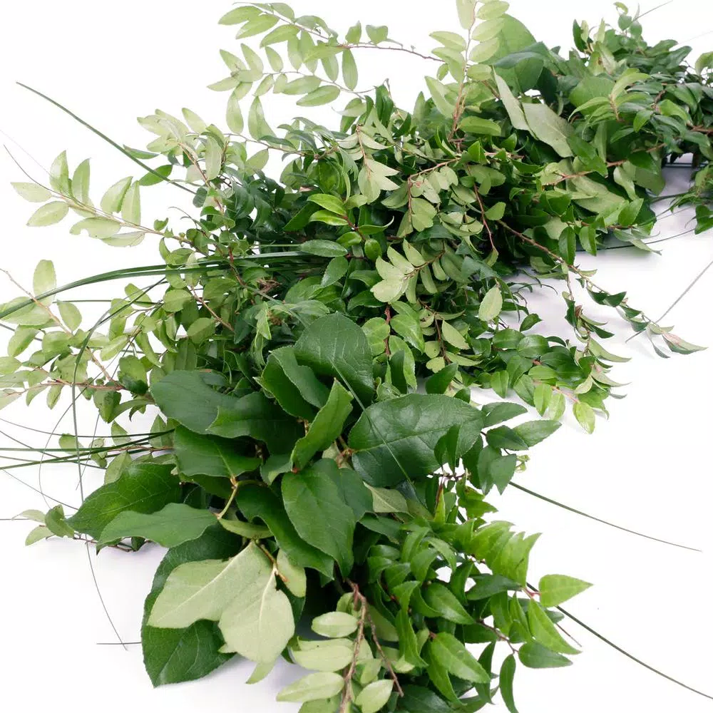 VAN ZYVERDEN 6 ft. Fresh Cut Pacific Northwest Deluxe Evergreen Holiday Garland Mix Coil Runner