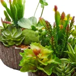 Pure Garden 8 in. Faux Succulent Arrangement with Decorative Concrete Planter, Set of 2 thumbnail 3