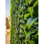 GreenSmart Decor Greens Mart Dekor Artificial Cancun Wall Panel, 19.68 in. x 19.68 in. (Set of 4) thumbnail 4