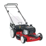 Toro Recycler 22 in. Self-Propelled Gas Lawn Mower with Briggs & Stratton Engine and Bagger thumbnail 1