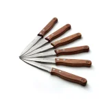 Outset Rosewood 6-Piece Stainless Steel Steak Knife Set with Serrated Edges thumbnail 1