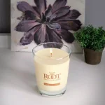 ROOT CANDLES A.I. Root Veriglass Sparkling Champagne Scented Soy & Beeswax Jar Candle thumbnail 1