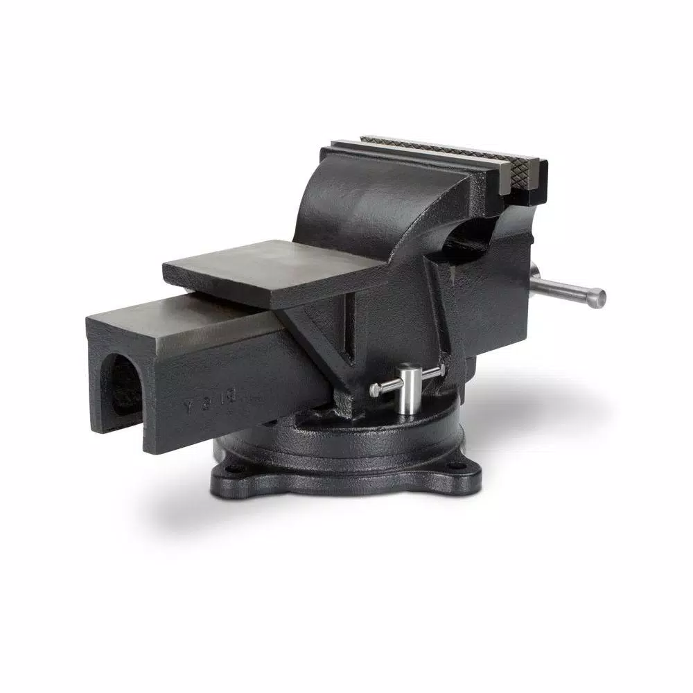 TEKTON 6 in. Swivel Bench Vise with Polished Anvil