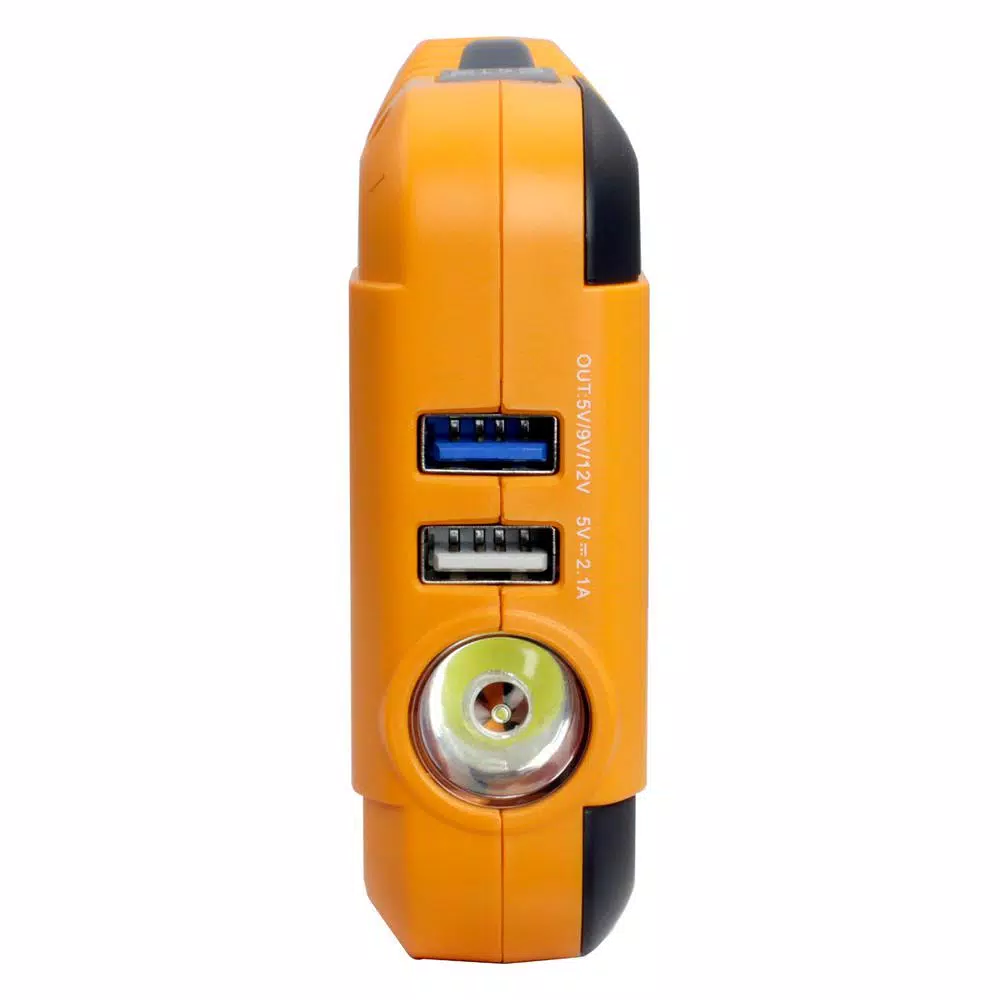 Freeman 800 Amp Compact Lithium-Ion Portable Jump Starter and Power Bank with Case