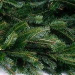 VAN ZYVERDEN 25 ft. Live Fresh Cut Blue Ridge Mountain Fraser Fir Holiday Garland thumbnail 3