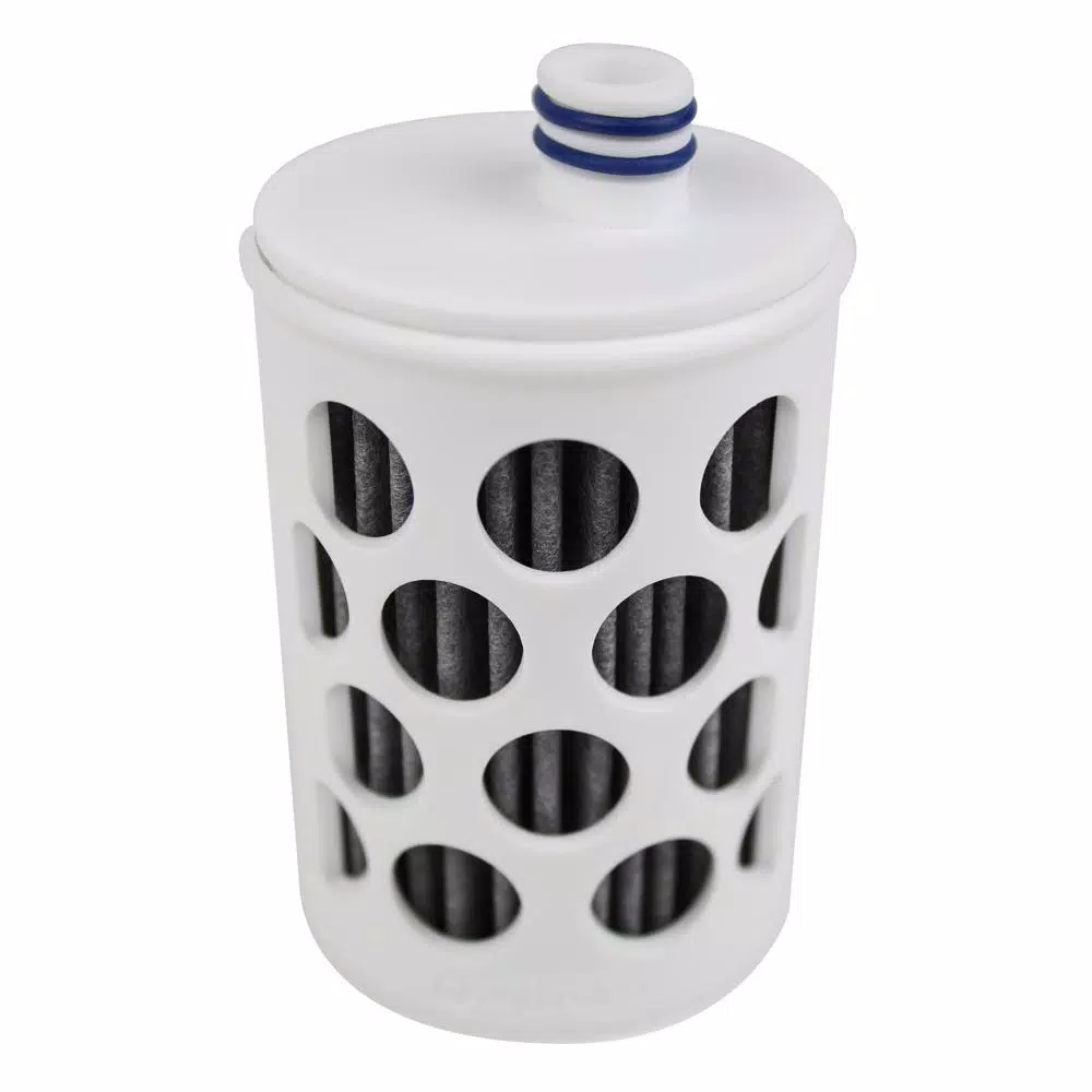 Aquasana Active Filter Bottle Replacement Cartridges, 2-Pack