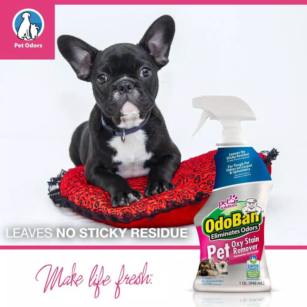 OdoBan Pet Oxy Stain Remover, 32 oz. Oxygen-Powered Odor and Stain Eliminator