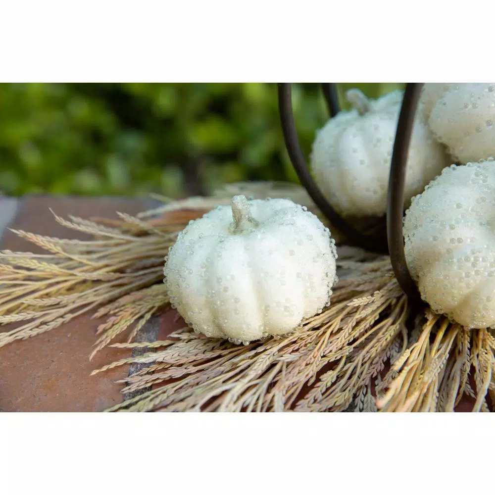 Flora Bunda 8-Piece Cream White Beaded Mini Pumpkin Set - Fall Harvest Indoor Tabletop Decor