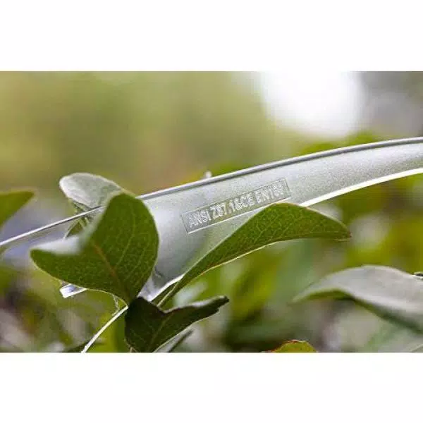 Bison Life Clear Lens Safety Glasses, Polycarbonate Scratch-Resistant Eyewear (Pack of 12)