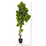 Nearly Natural 78 in. Fiddle Leaf Artificial Tree with Real Touch Foliage and Black Stone Planter thumbnail 2