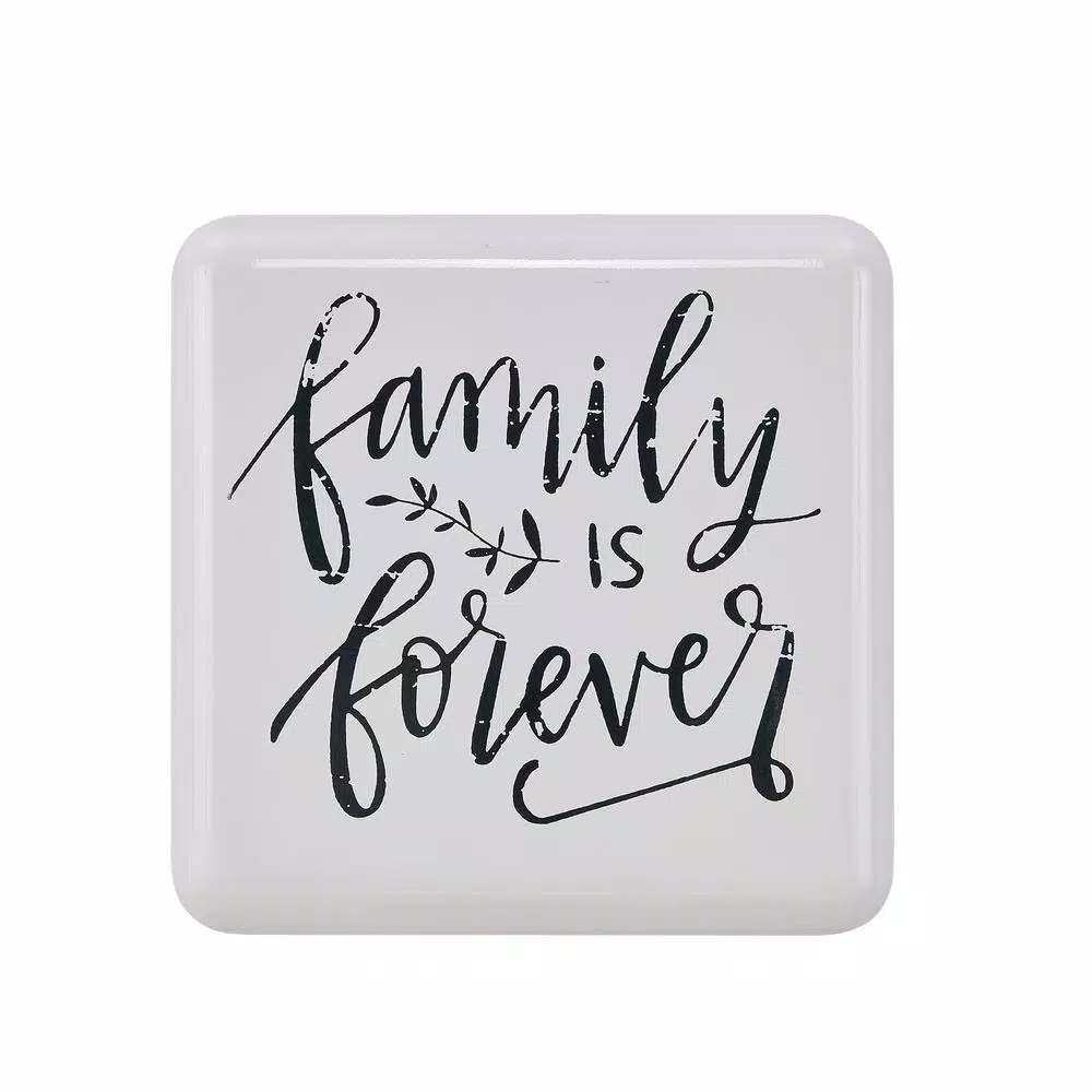 Danya B. Family is Forever Metal Wall Art - Farmhouse Decorative Quote Sign