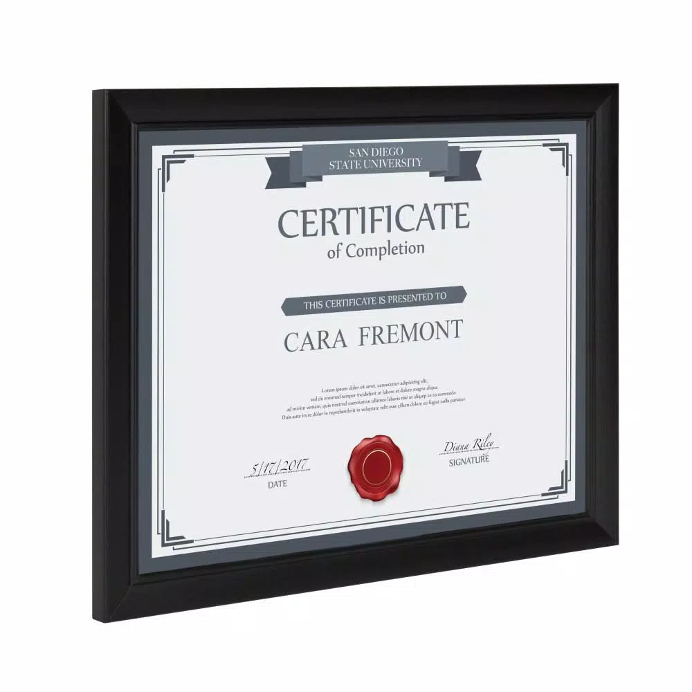 DesignOvation Design Ovation Cornell 8.5 x 11 in. Black Document Picture Frame Set of 4