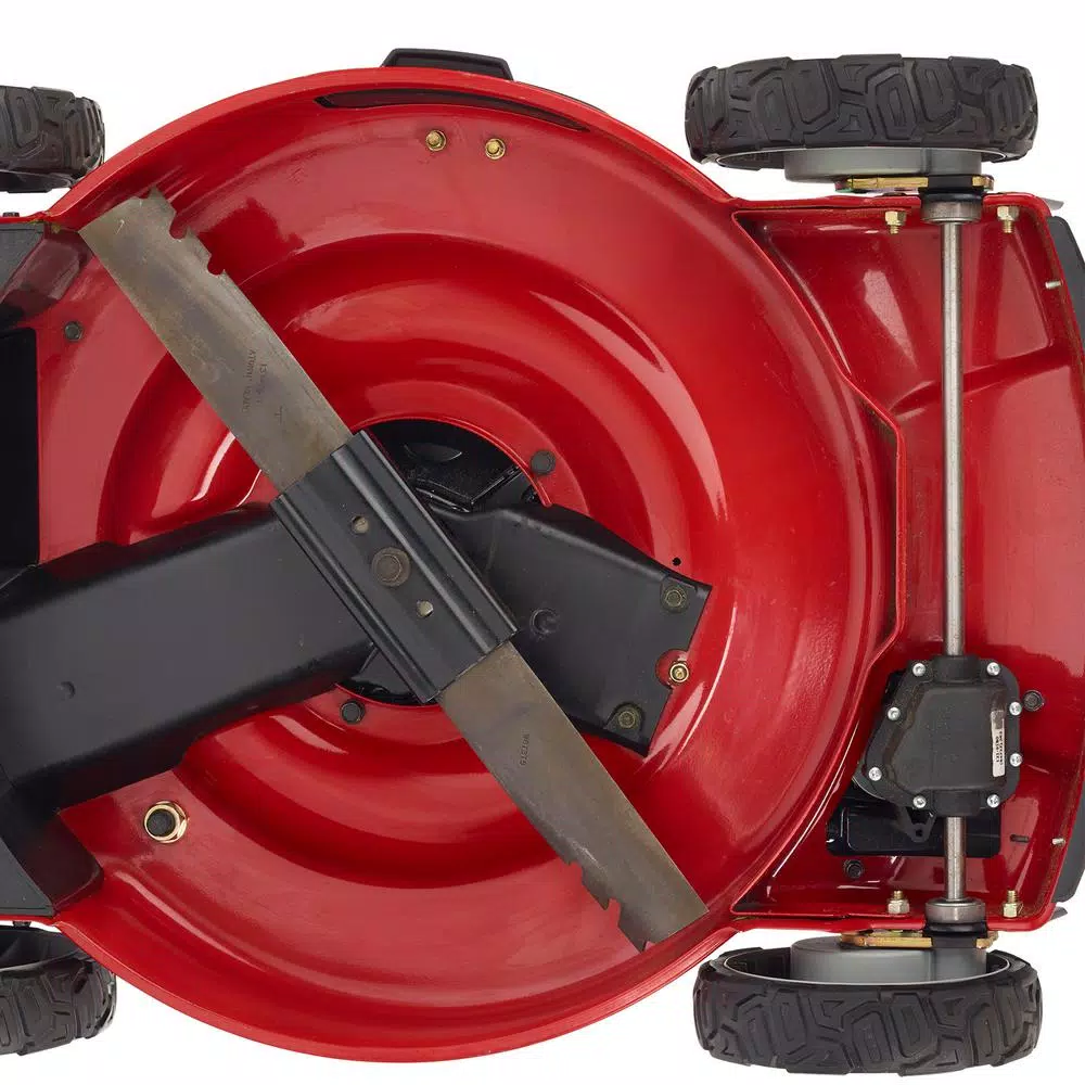Toro Recycler 22 in. All-Wheel Drive Personal Pace Variable Speed Gas Self-Propelled Mower with Briggs and Stratton Engine