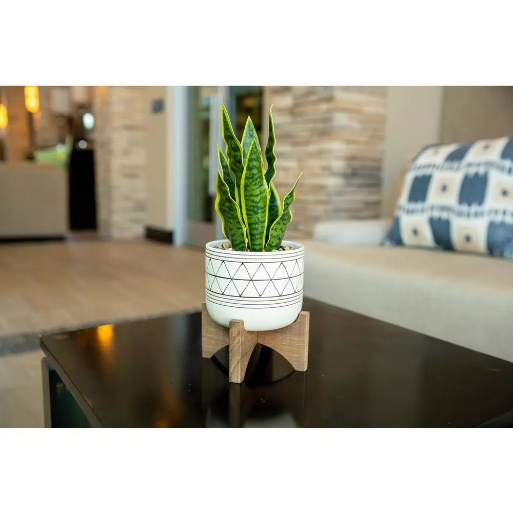 Flora Bunda 12 in. Artificial Snake Plant in White Ceramic GEO Pattern Pot with Wood Stand