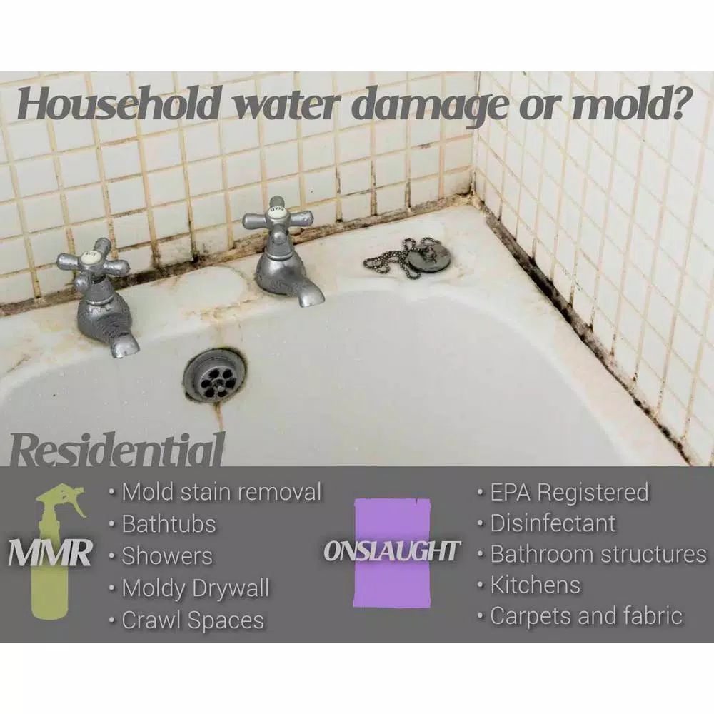 MMR Mold & Mildew Stain Remover (32 oz) and Onslaught Disinfectant Concentrate (2 oz) 2-Step Combo Pack