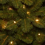 National Tree Company 9 ft. Bayberry Spruce Artificial Christmas Tree with 1000 Dual Color LED Lights & PowerConnect System thumbnail 3