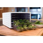 Weston 6-Tray Food Dehydrator with Temperature Control, 500W, White thumbnail 2