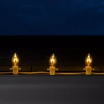 Wintergreen Lighting FlexFilament C9 LED Shatterproof Gold Vintage Edison Bulbs (5-Pack) thumbnail 4