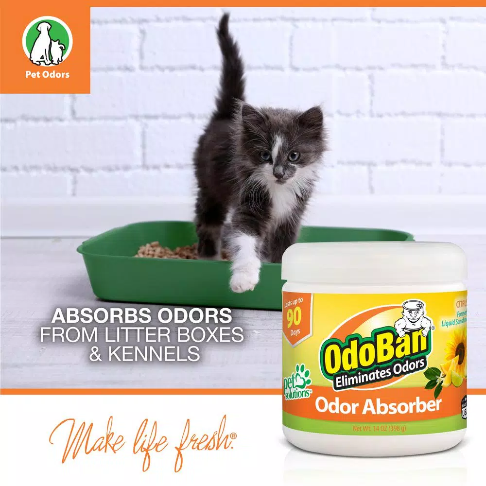 OdoBan Citrus Odor Absorber Solid Gel, 14 oz.