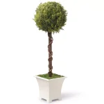 National Tree Company 30 in. Artificial Evergreen Topiary Tree with White Metal Pot thumbnail 1