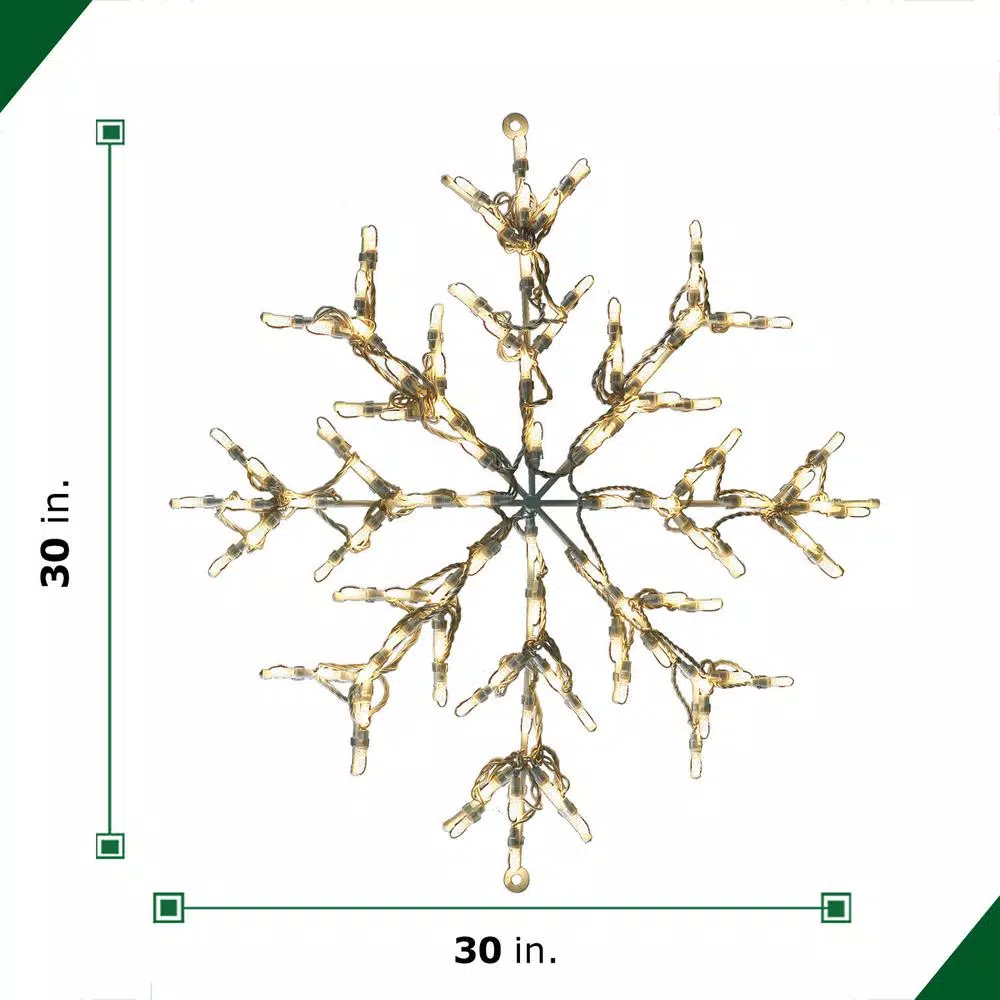 Fraser Hill Farm 30 in. LED Snowflake Specialty Light, 100 Warm White Lights