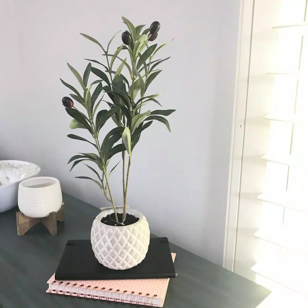 Flora Bunda 14 in. Faux Olive Branch in White Pineapple Pattern Cement Pot