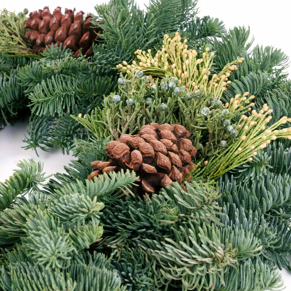 VAN ZYVERDEN 20 in. Live Fresh Cut Pacific Northwest Mixed Christmas Wreath with Pine Cones