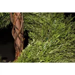 National Tree Company 4 ft. Artificial Juniper Slim Spiral Topiary Tree in Green Growers Pot thumbnail 2