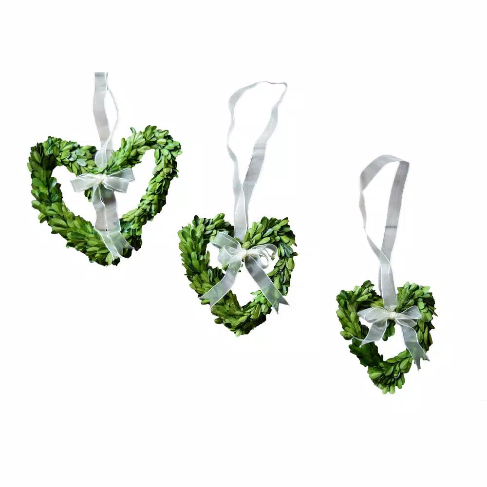 Unbranded Set of 3 Preserved Boxwood Heart Wreaths with Ivory Ribbon