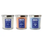 LUMABASE Beach Collection Scented Candles Set of 3 - Ocean Mist, Sea Salt, Coral Sands (10 oz. Each) thumbnail 1