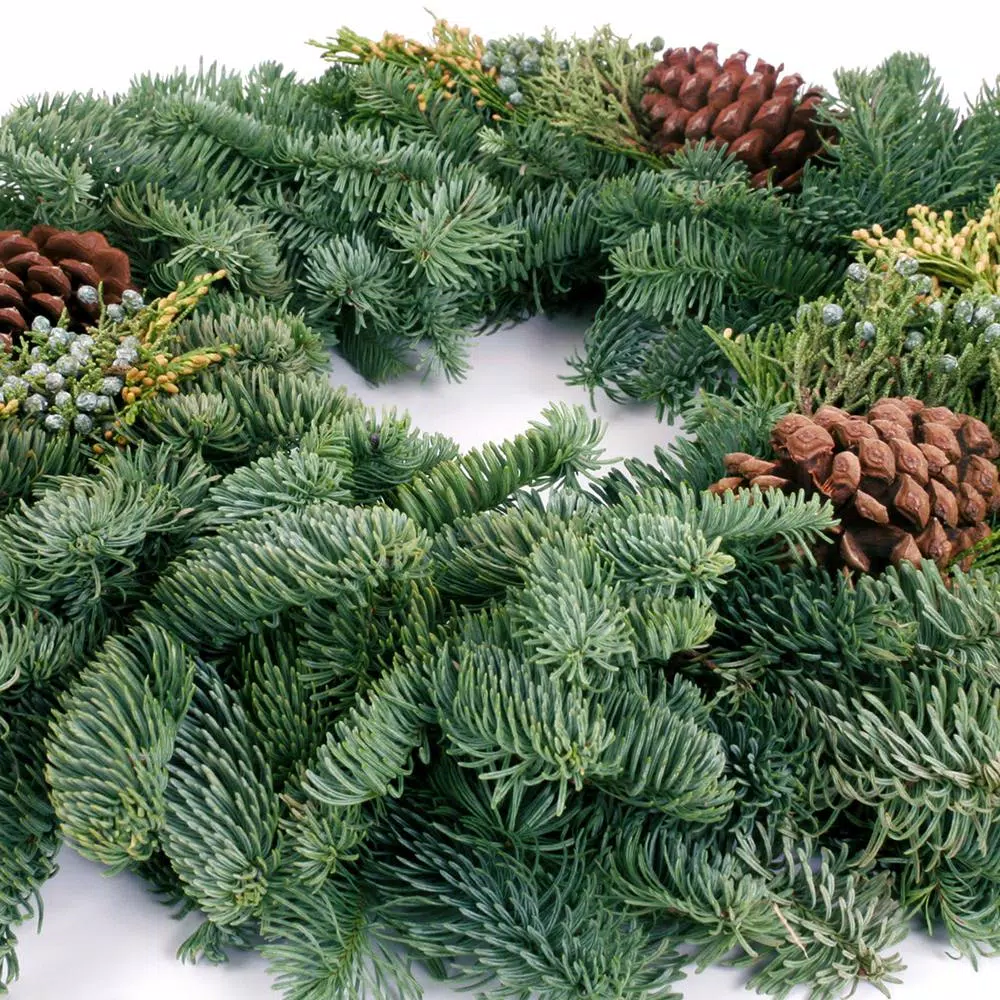 VAN ZYVERDEN 20 in. Live Fresh Cut Pacific Northwest Mixed Christmas Wreath with Pine Cones