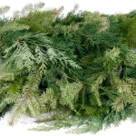 VAN ZYVERDEN 25 ft. Fresh Cut Pacific Northwest Douglas Fir and Western Red Cedar Mix Coil Garland thumbnail 3
