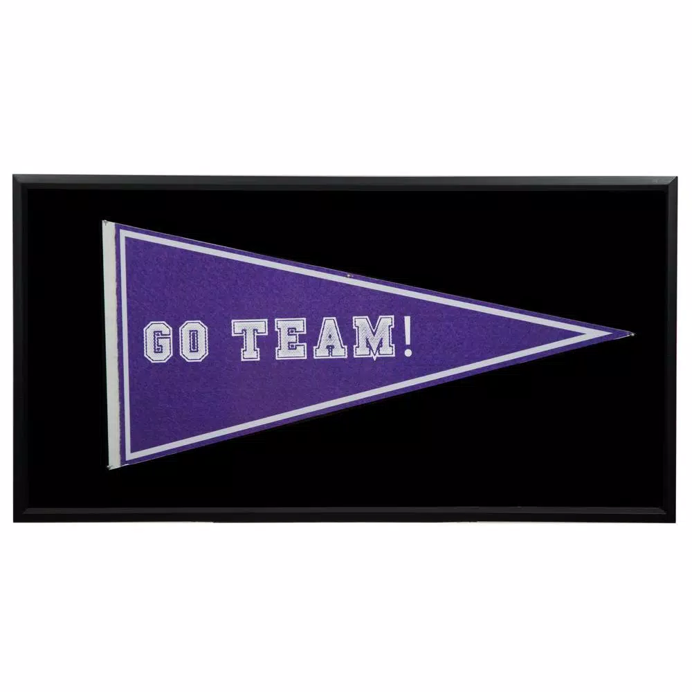 Pinnacle Pennant Display Case Shadow Box Frame - 16.6 x 31.6 in. Black Sports Memorabilia Frame