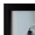 Pinnacle Life Moments 6-Piece Black Wood Gallery Wall Frame Set, 11 x 14 in. thumbnail 4