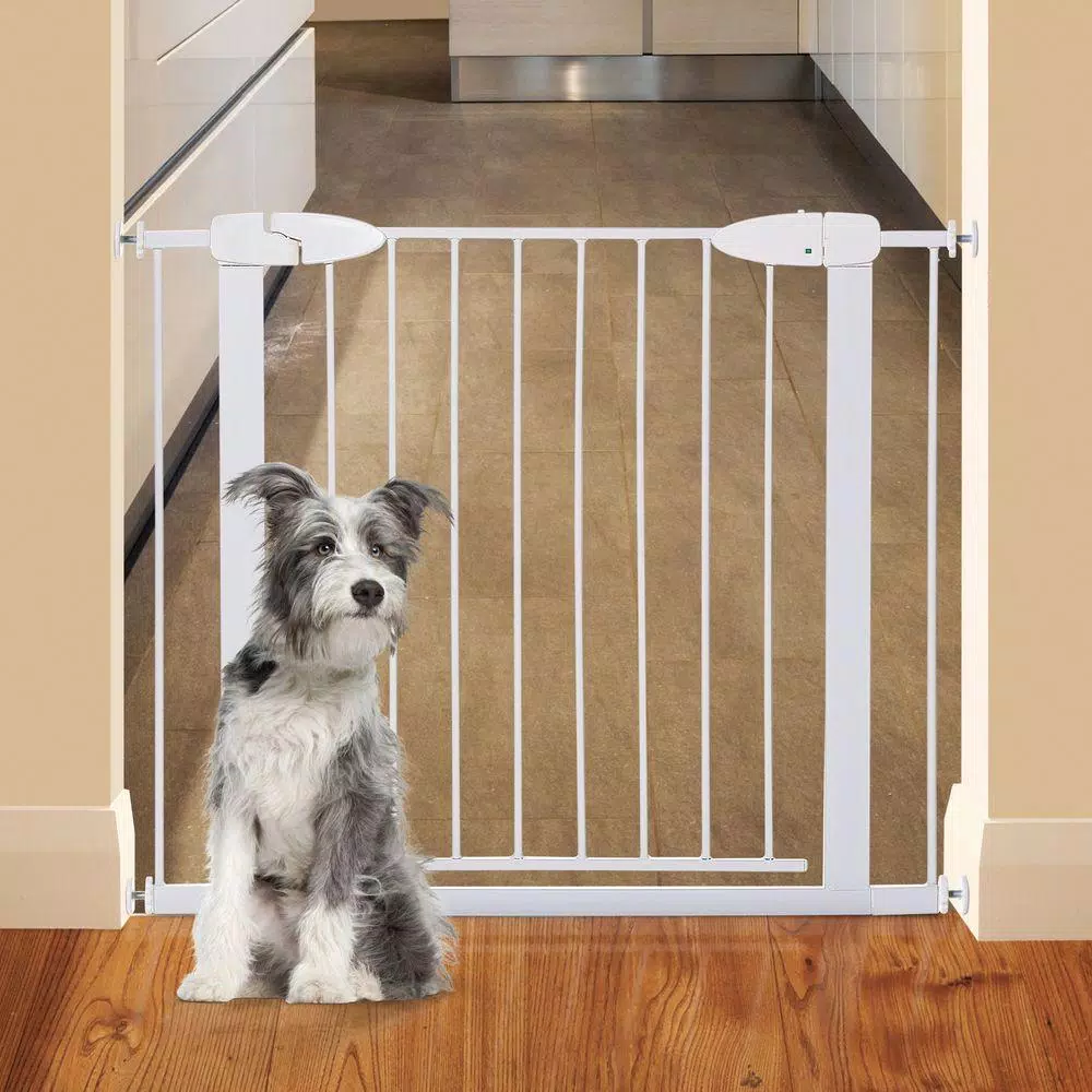 Dreambaby Boston 29.5 in. Auto-Close Pressure Mounted Security Gate with EZyCHECK, White