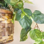 Nearly Natural Lifelike Pothos Silk Plant in Woven Roped Hanging Basket thumbnail 3