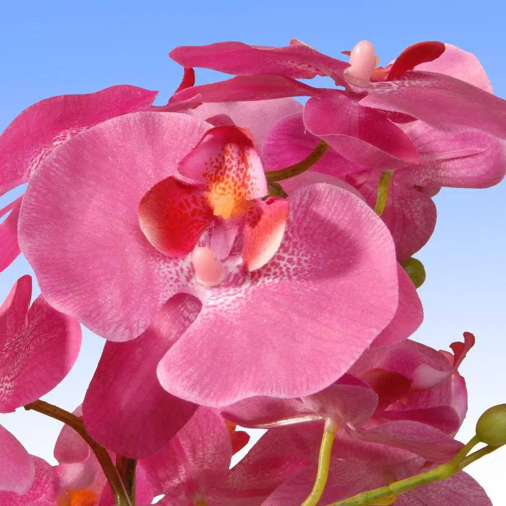 National Tree Company 17.32 in. Pink Silk Orchid Floral Arrangement in Black Ceramic Pot