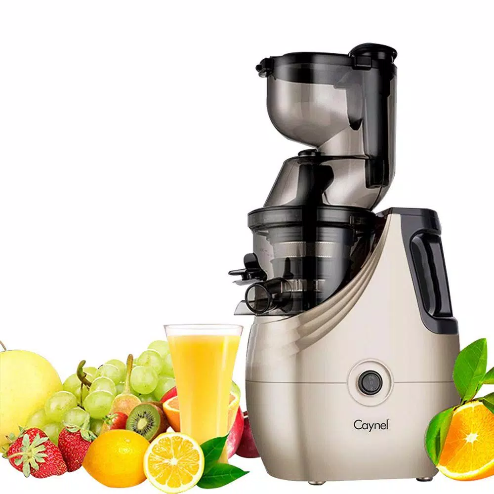 Boyel Living Champagne Slow Masticating Juicer Machine, 150W Energy-Efficient Citrus Juicer