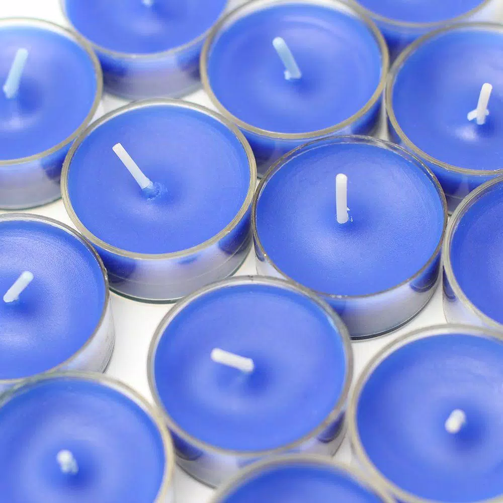 Zest Candle Blue Tealight Candles, 1.5 in. Diameter, 50-Pack