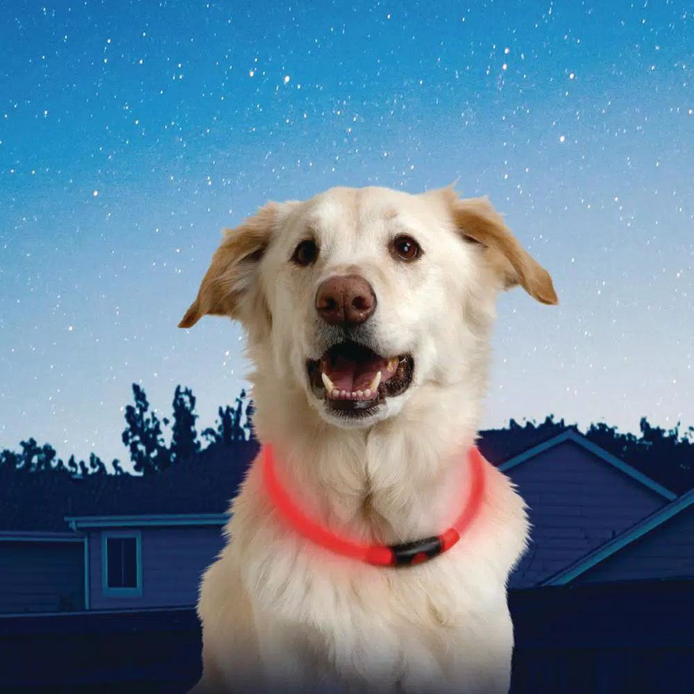 Nite Ize NiteHowl LED Safety Necklace for Dogs, Red, Adjustable 12-27 in.