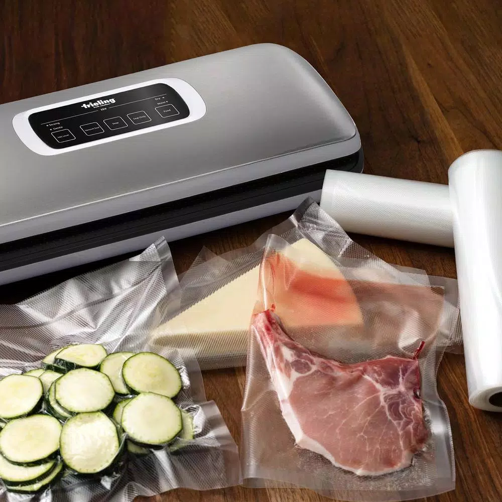 Frieling Automatic Food Sealing Vacuum Machine, Silver