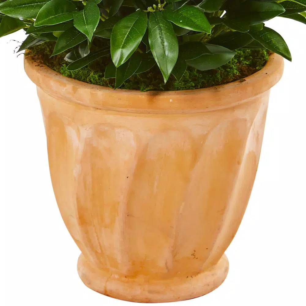 Nearly Natural 4.5-Ft. Bay Leaf Cone Topiary Artificial Tree in Terra Cotta Planter, Indoor/Outdoor