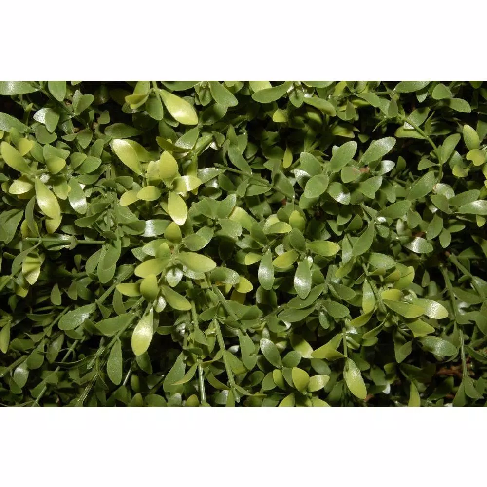 National Tree Company 30 in. Argentea Artificial Arborvitae Evergreen Bush in Green Round Growers Pot