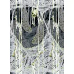 Amscan Spider's Lair Scene Setter Halloween Hanging Decor, 4 ft. x 40 ft. thumbnail 1